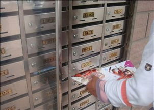 松江區(qū)dm設計印刷制作投遞