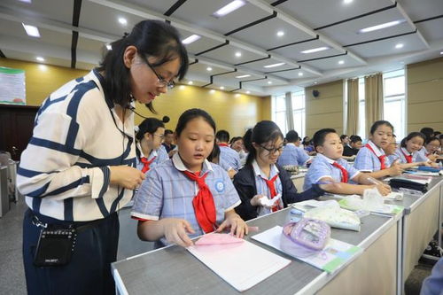 師范熱是否降溫？錄取分數線下滑的趨勢解析與行業應對之道